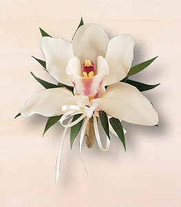 ارکیده سیمبیدیوم